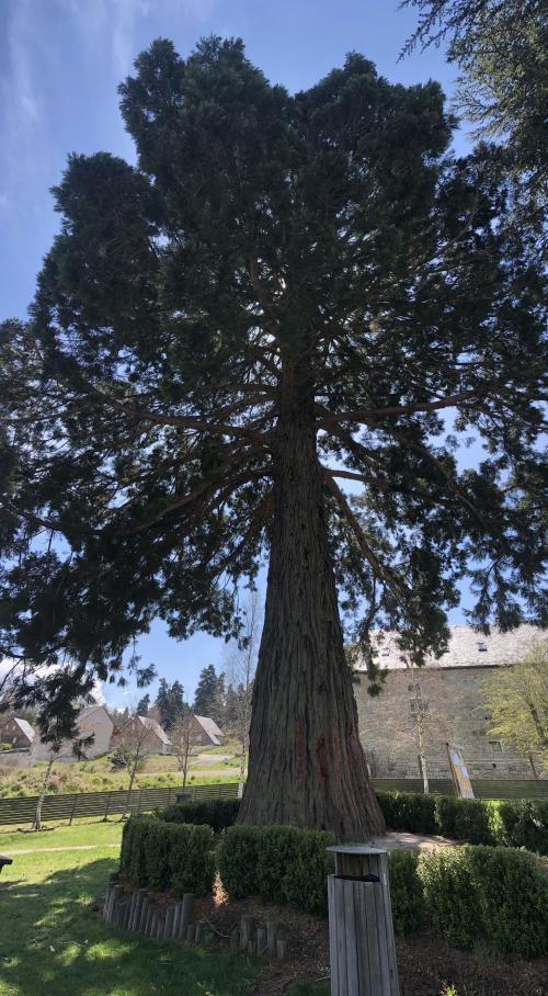 Aumont-Aubrac [16-04-2022](IMG_4820).jpg